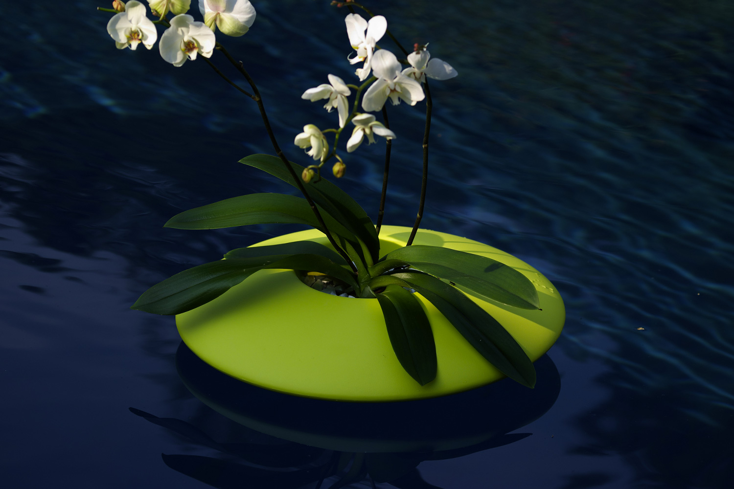ALESSANDRO_BUSANA_NINFEA_PLUST_COLLECTION_03